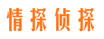 闸北外遇调查取证